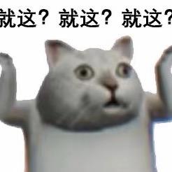知舟