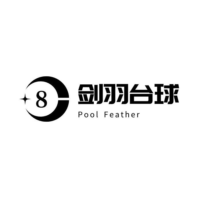 剑羽台球