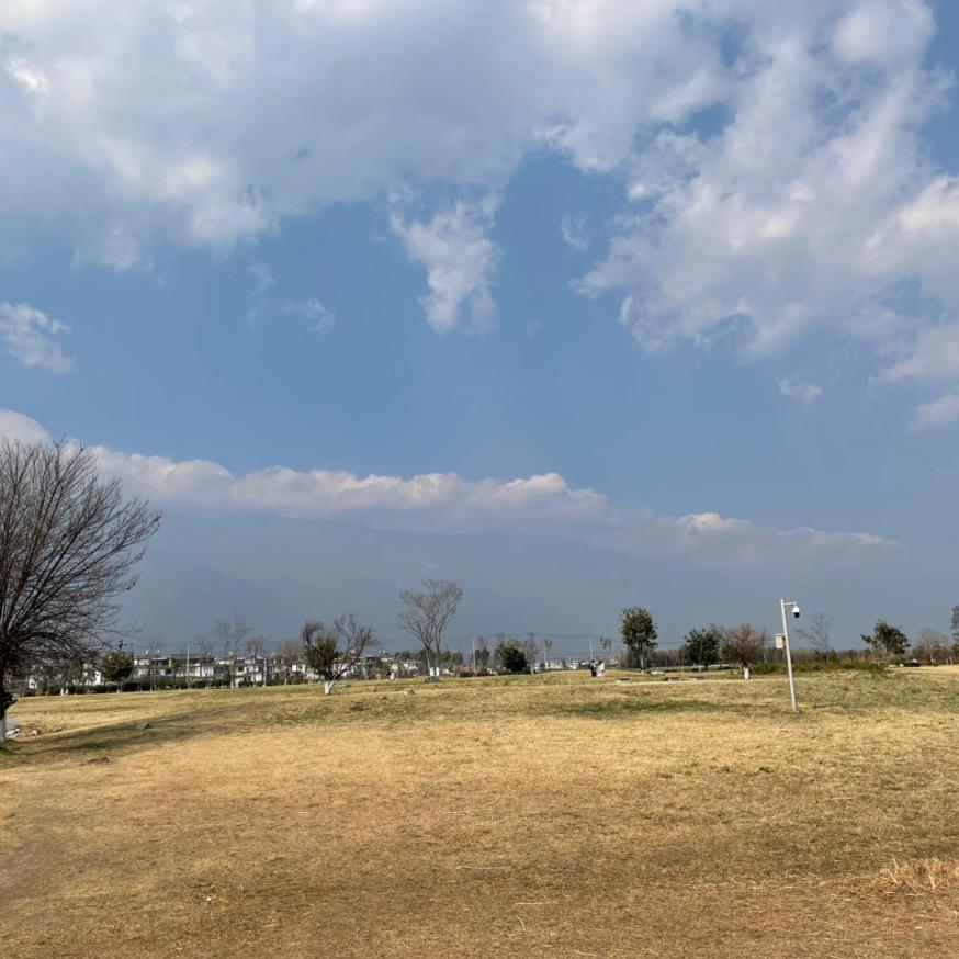 清新（暗区突围pc）