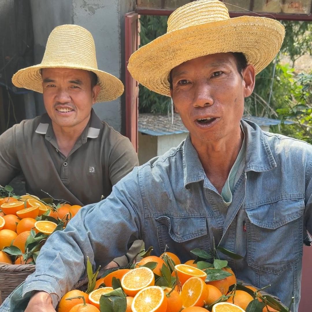 橙子农民