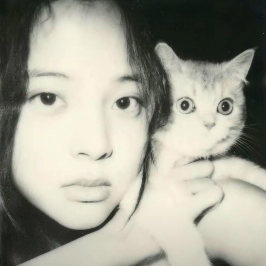 明天见 ·