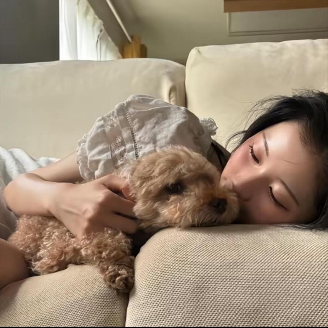 喂什么薇·