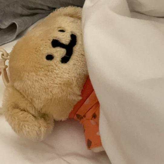 讨厌世界的疯子