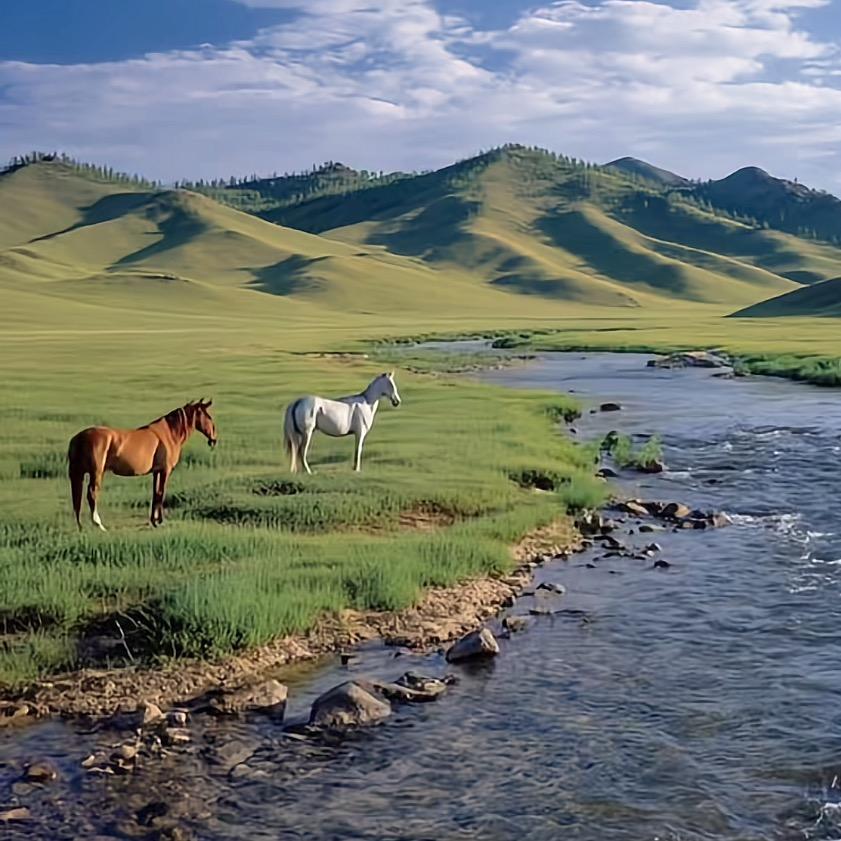 海纳百川好物小栈