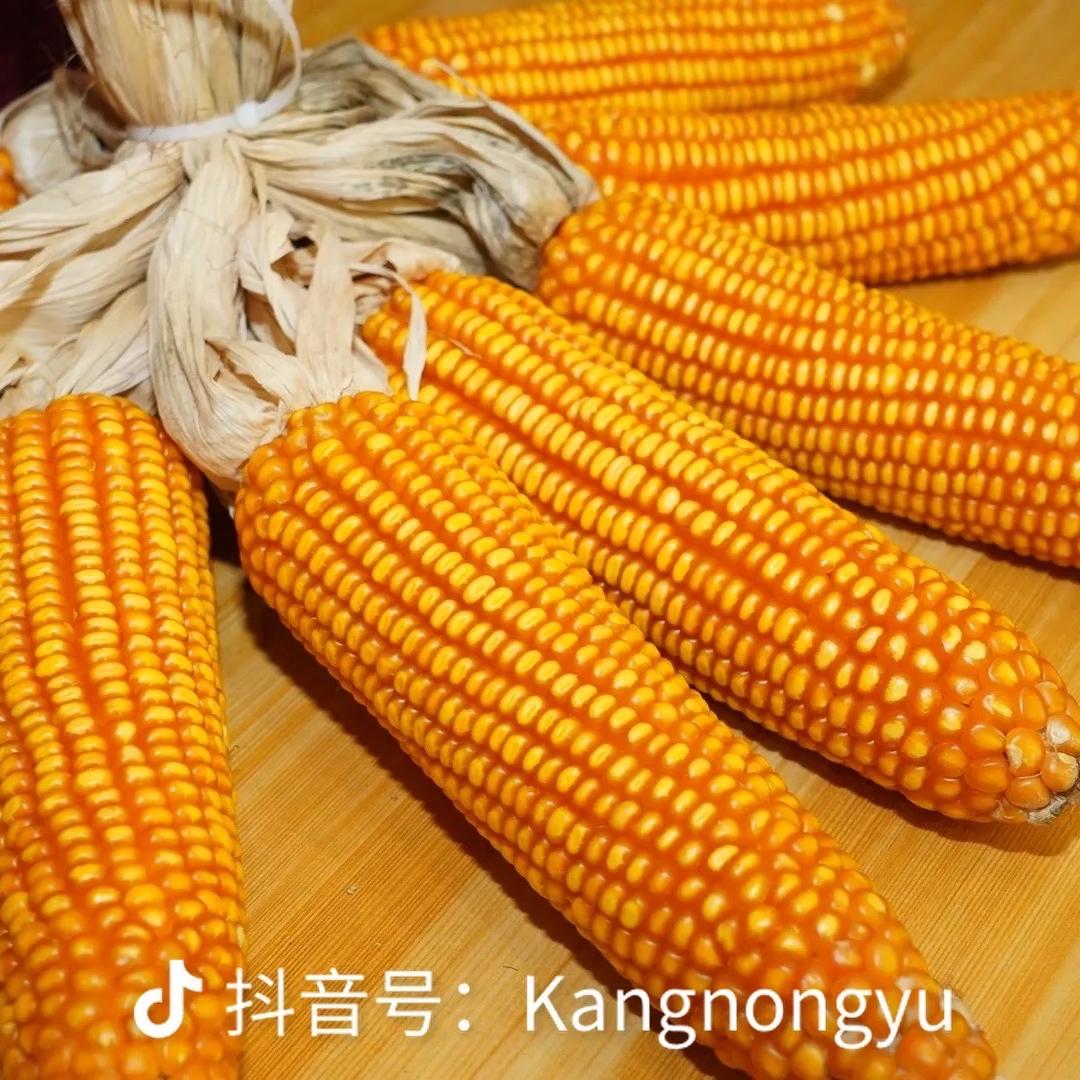 五谷种业工厂店