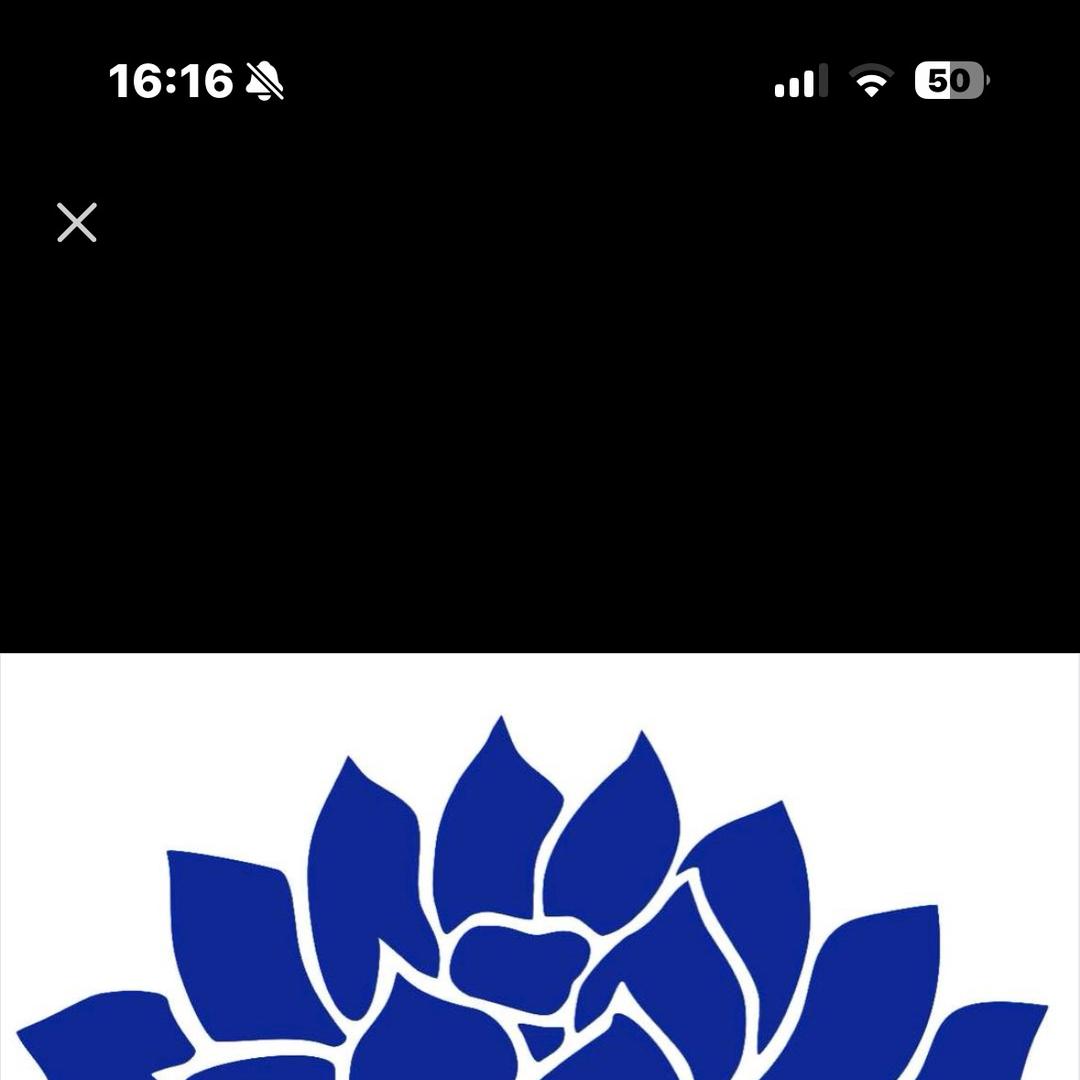山炮只玩面包车