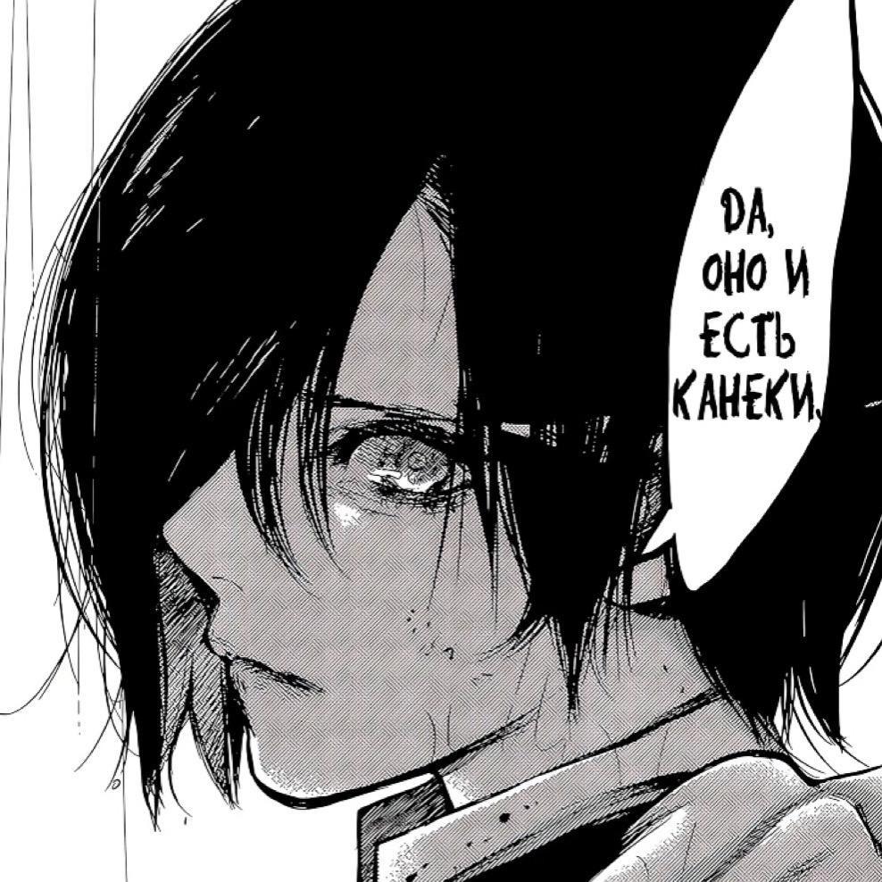 少他妈左右本少