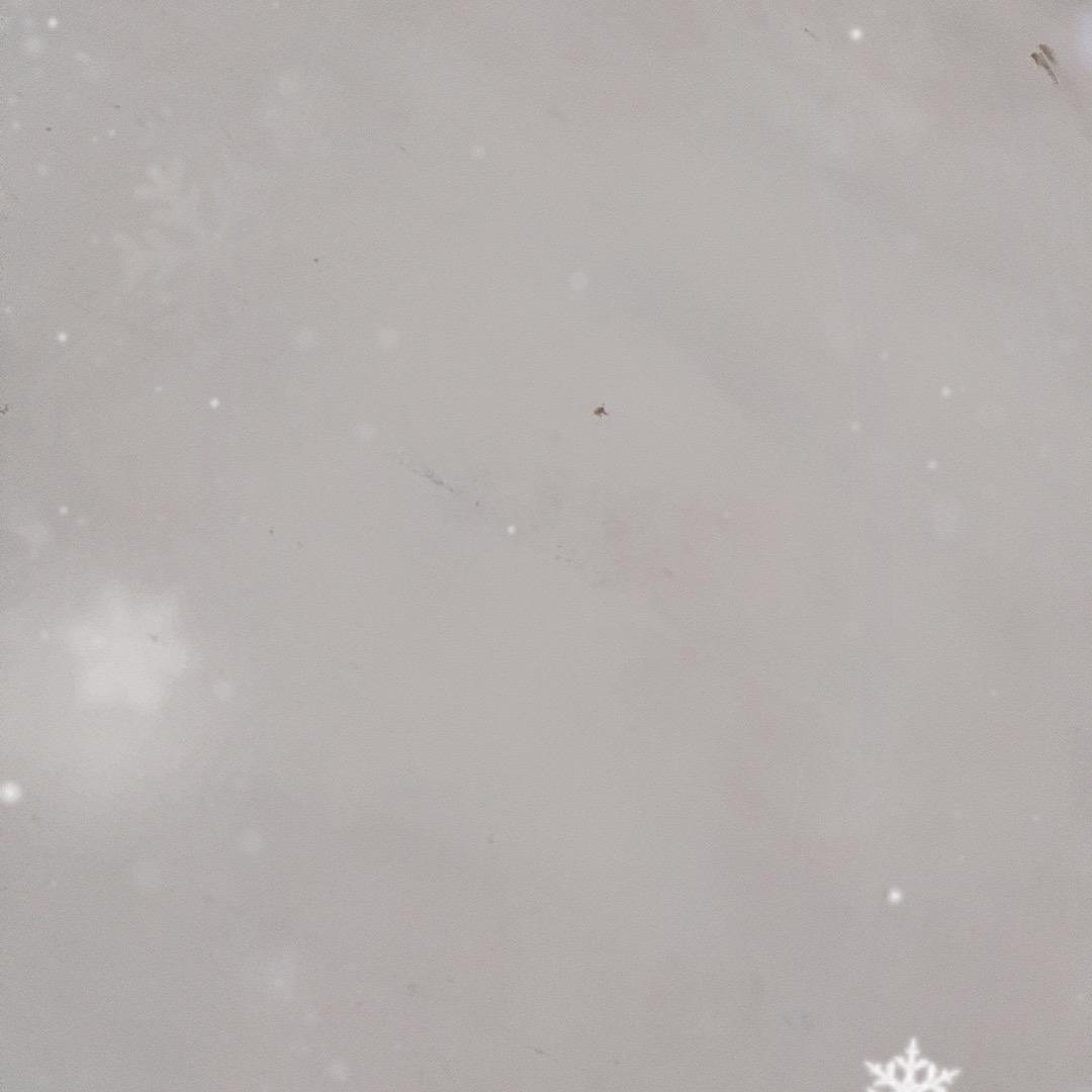 👣
