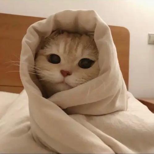 我爱背单词