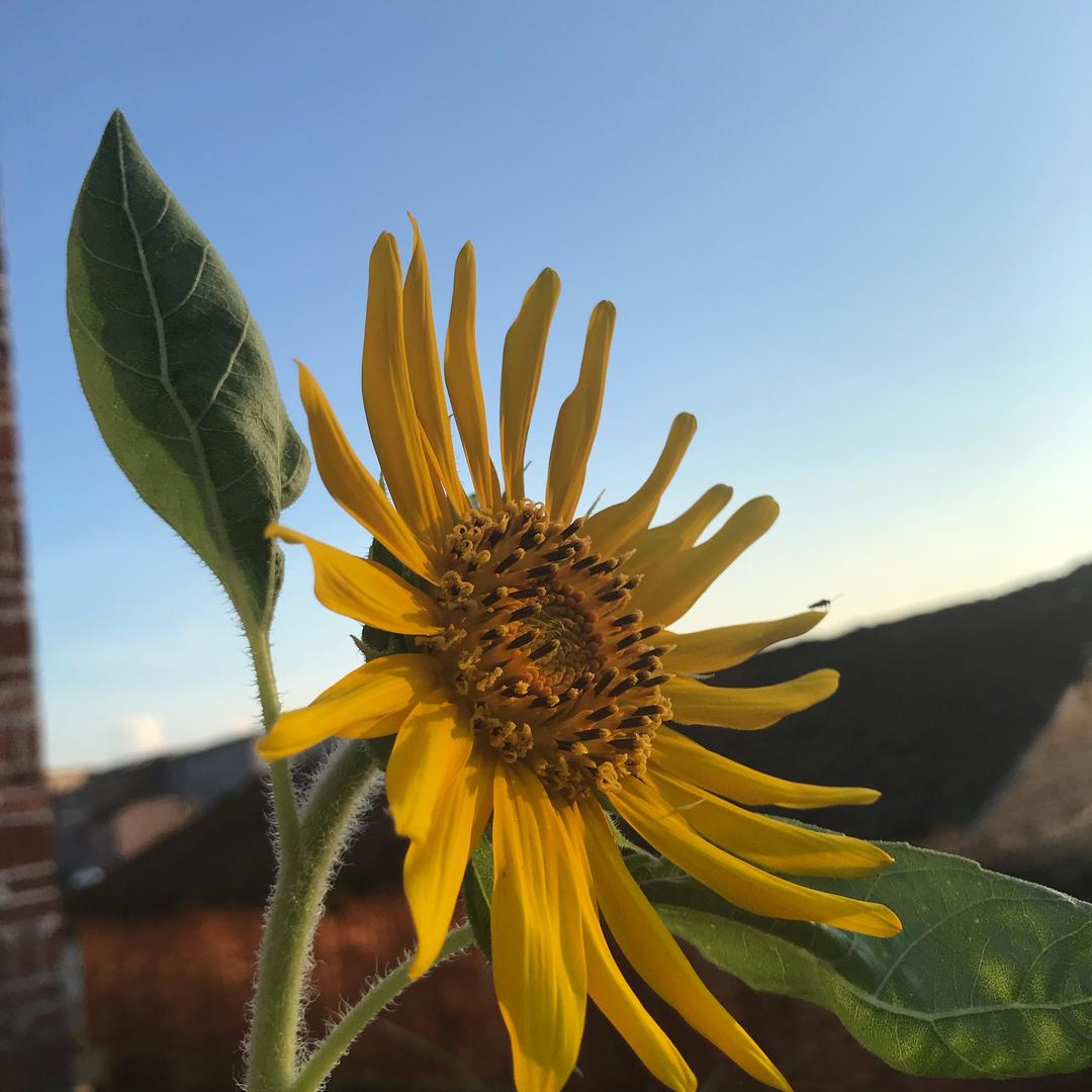 百味人生🌻