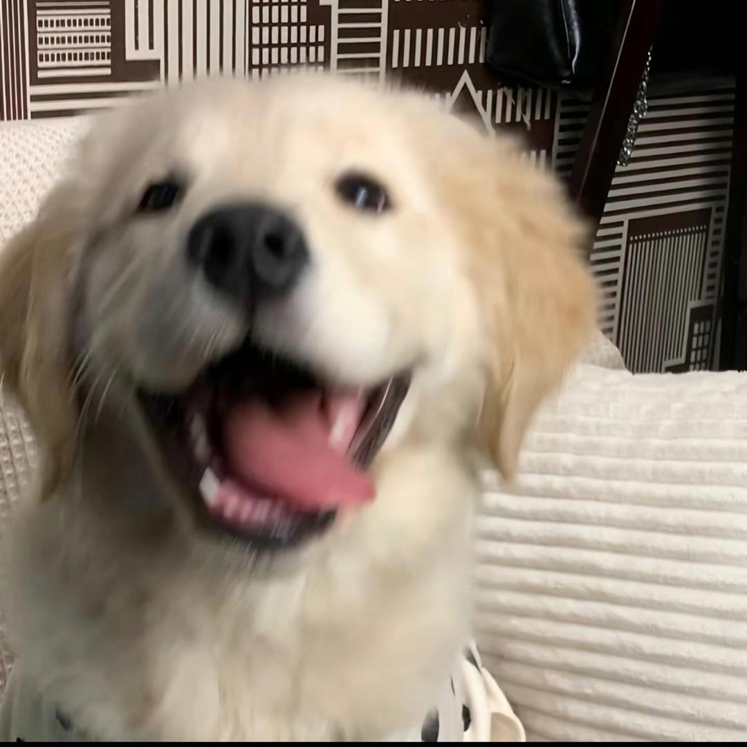 头晕惹^_^