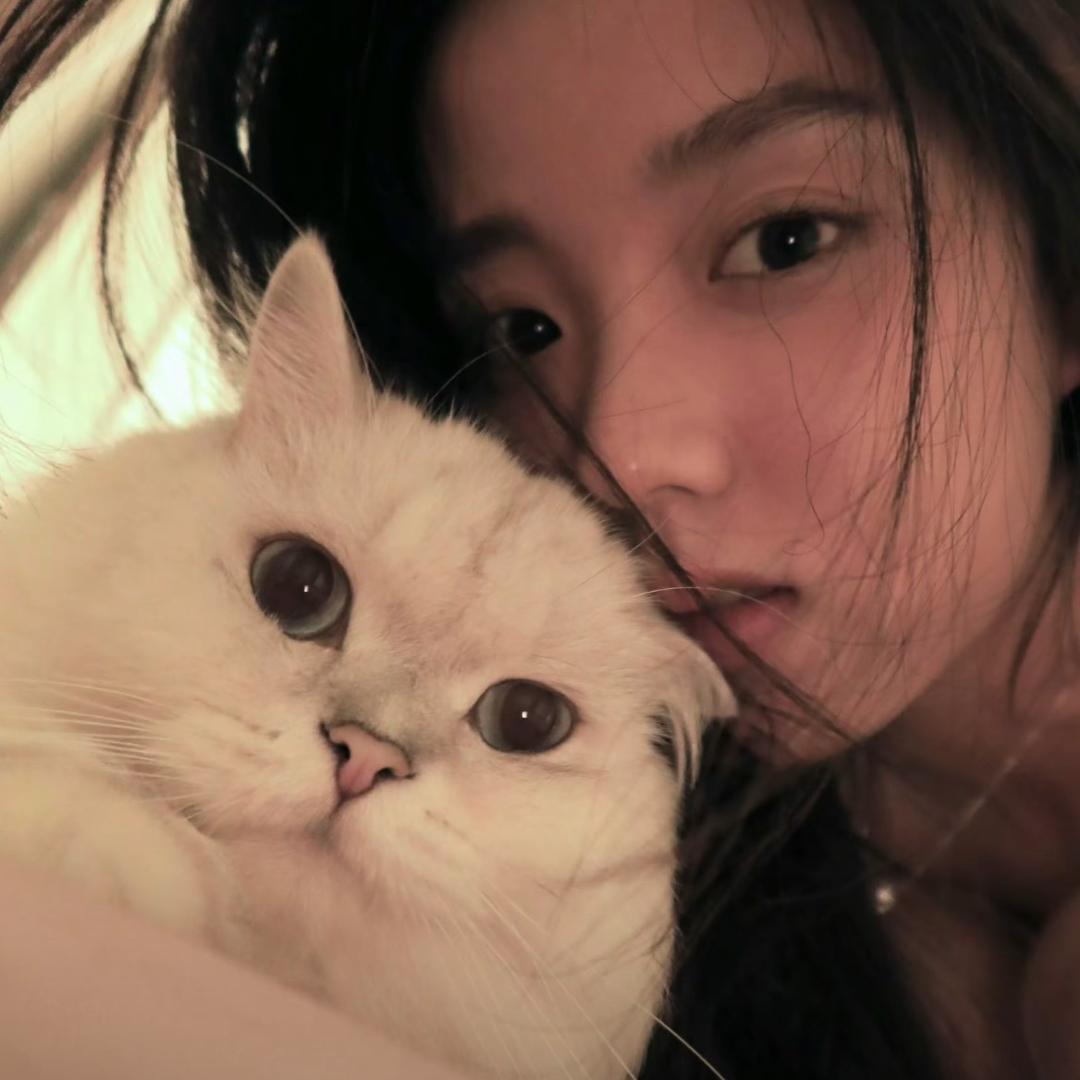 🐱