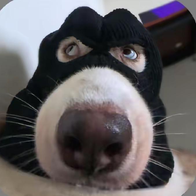 不要对我冷冰冰