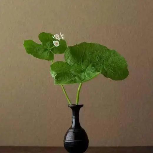 土尘