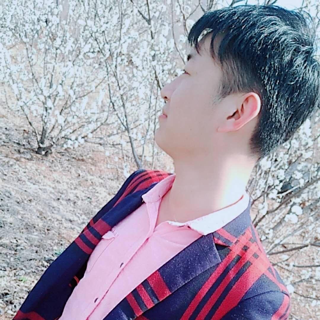 镇平刘少牛羊肉
