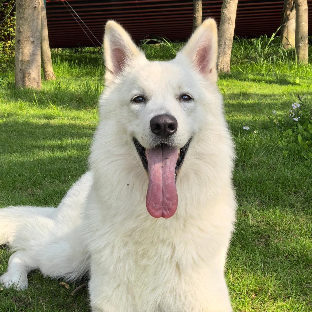 ￰ㅤ￰ㅤ￰￰￰👦ㅤ￰ㅤ