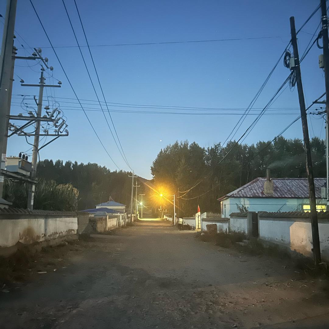 心若向阳