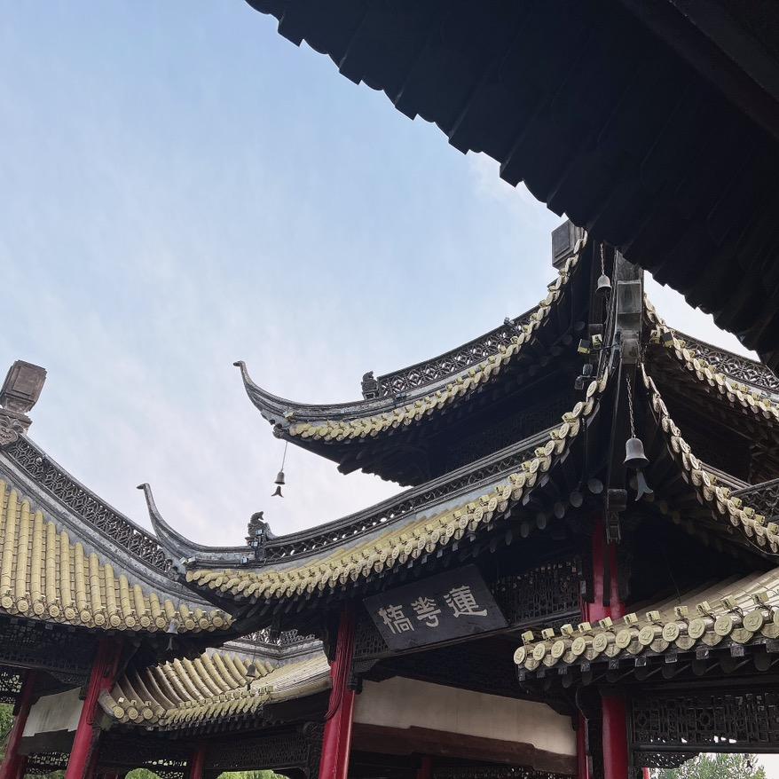 是小天天啊
