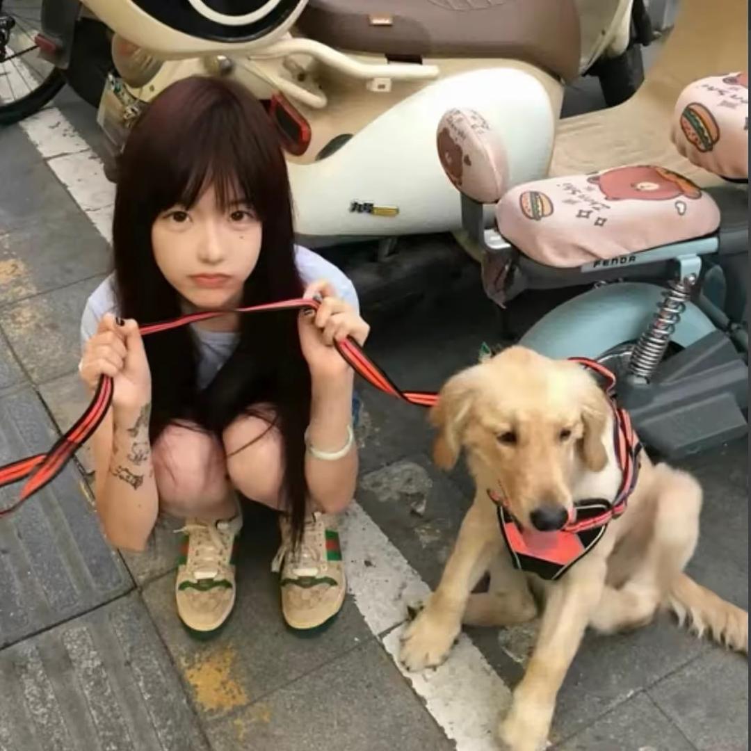 无忧ₐ