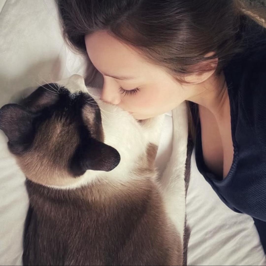 ㅤㅤㅤ