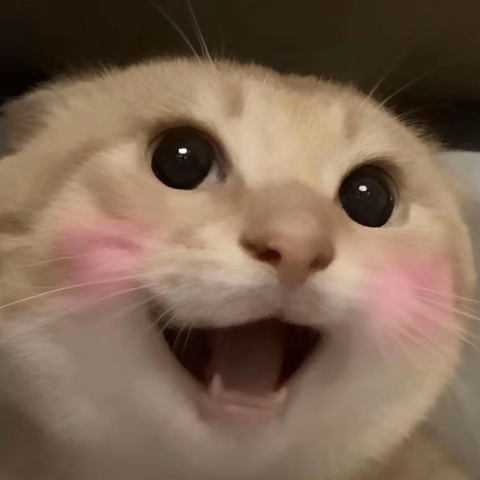 布哆酱