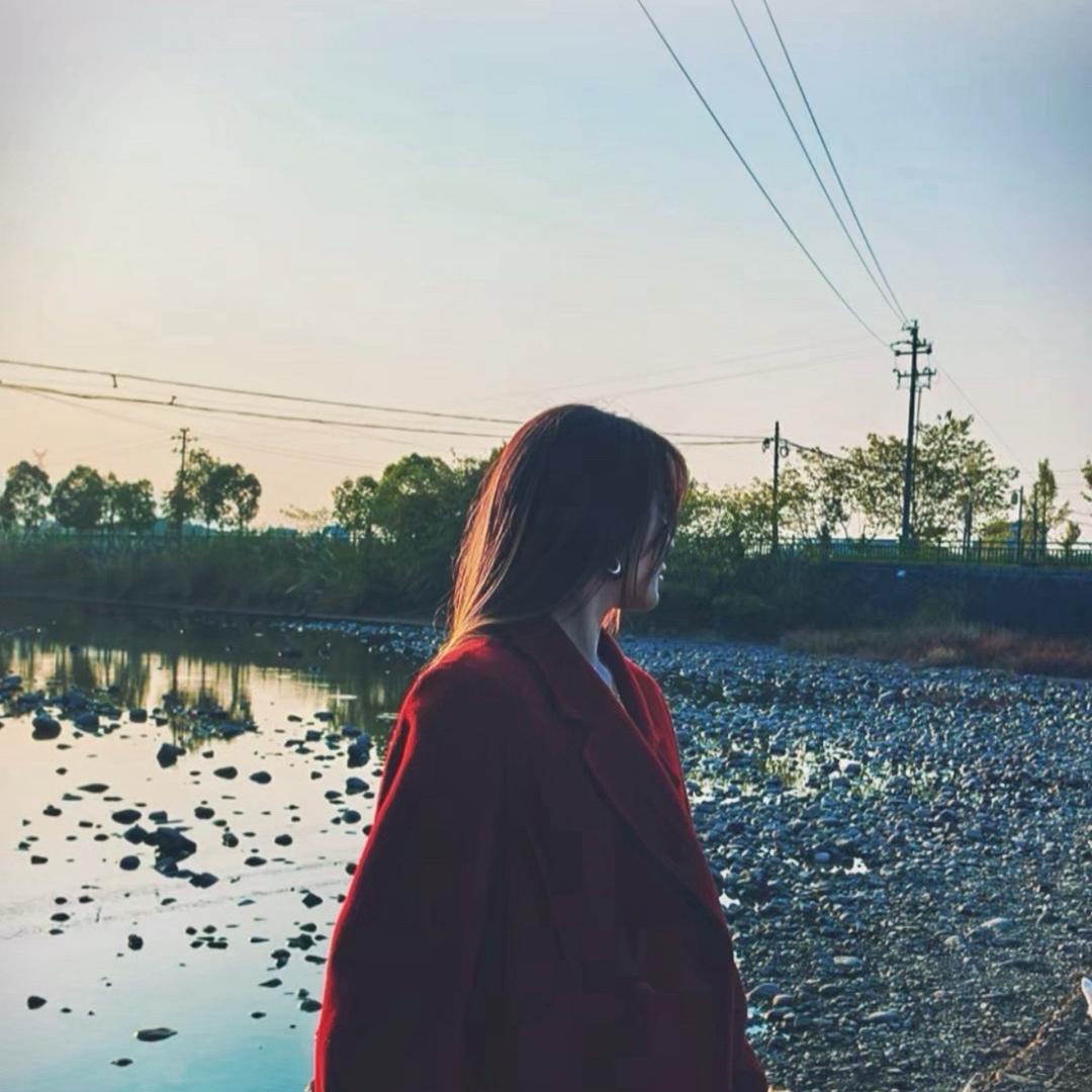 特价新能源电车推荐官