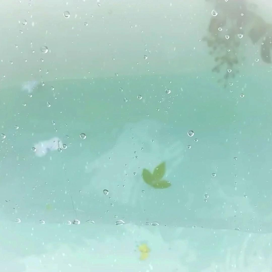 薄荷雨🌧️