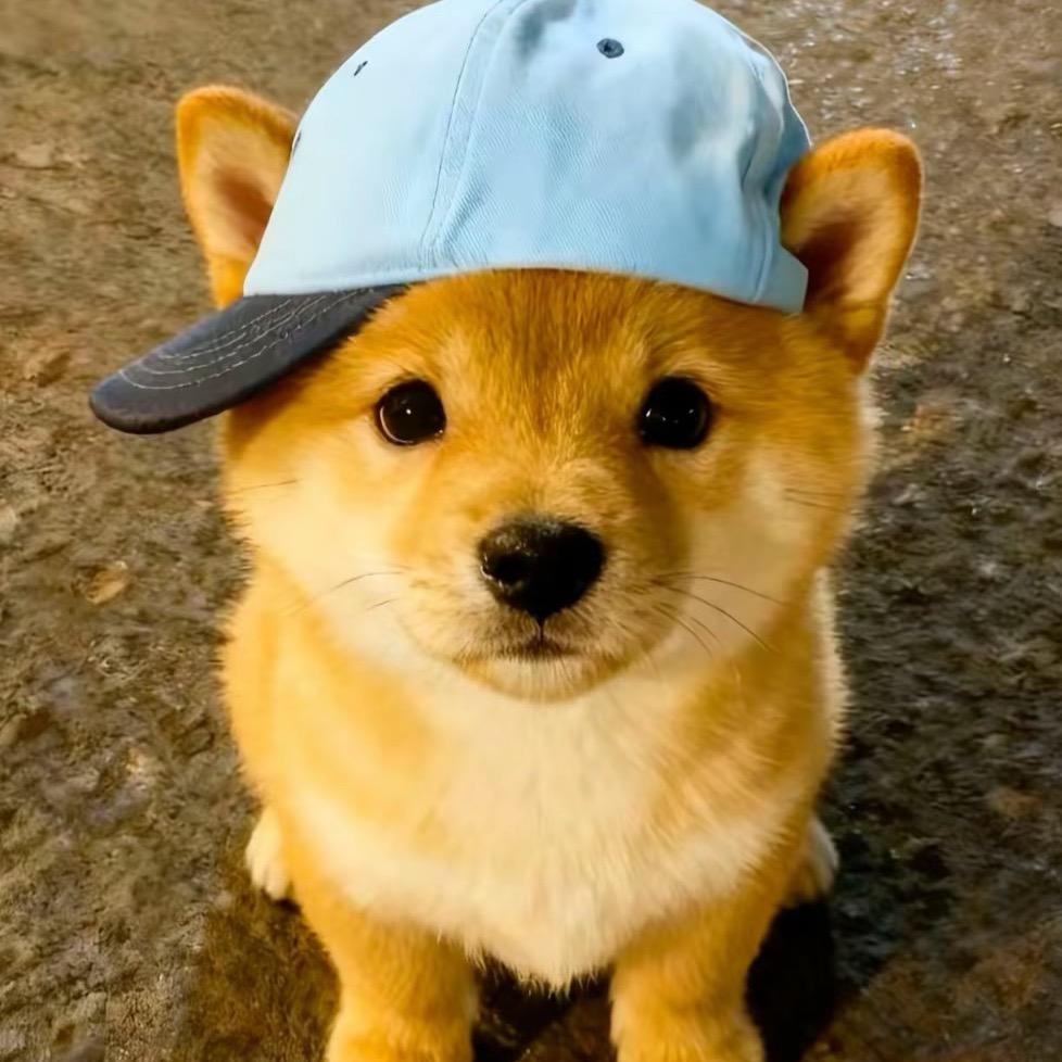 他们都叫我小马