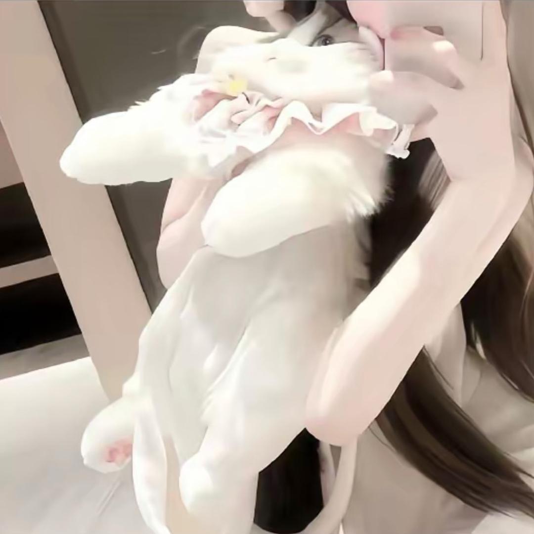小羊～