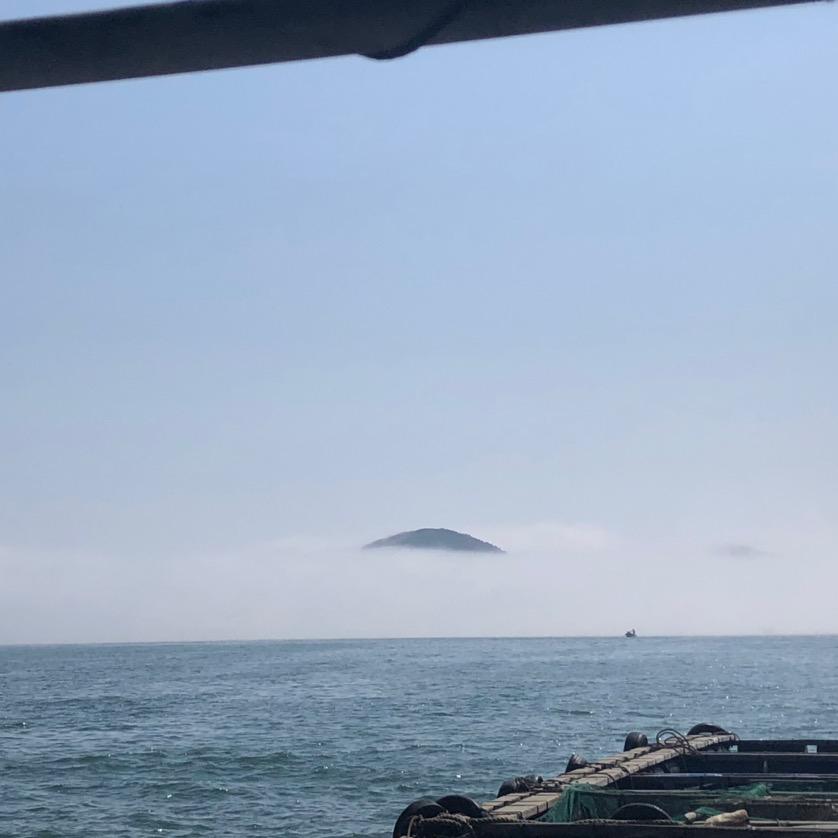 黄老吉
