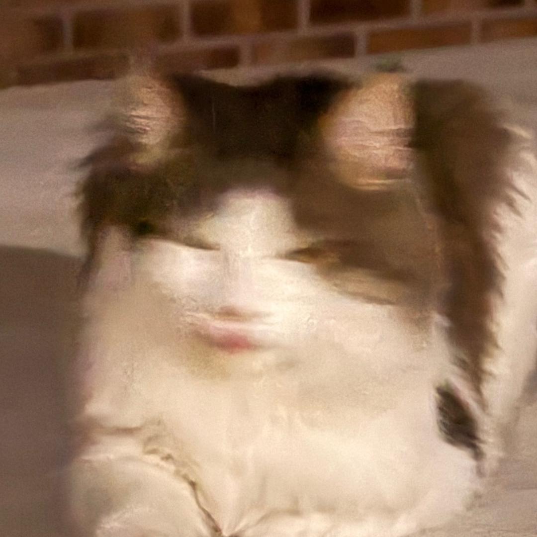 牛爷爷cos性感猫娘勾引隔壁壮壮妈