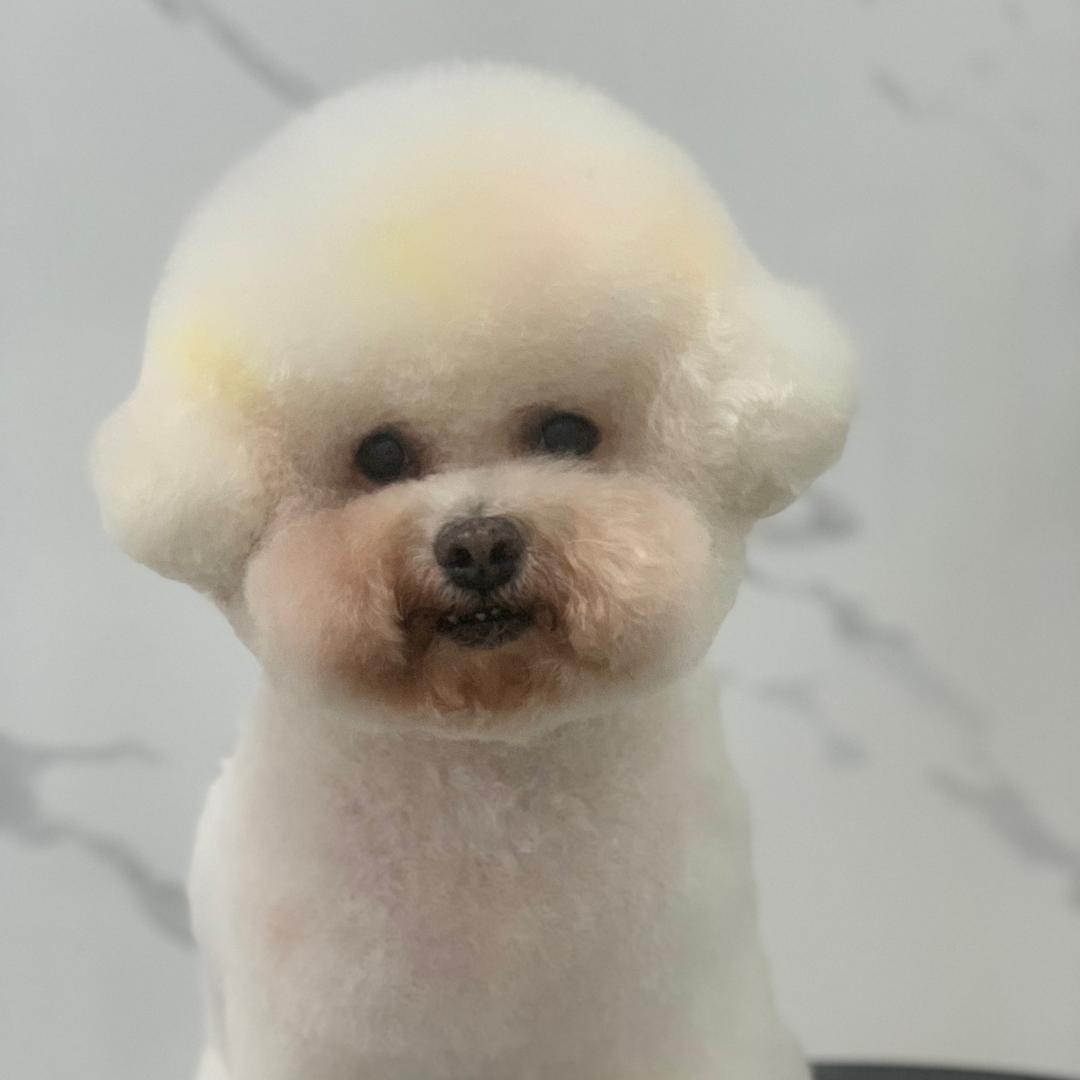 宠礼·宠美