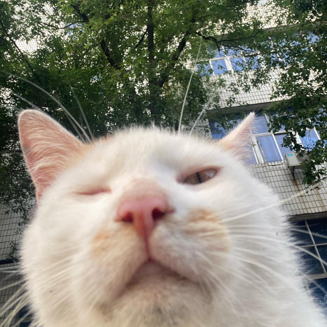 师傅你系做什么嘎.