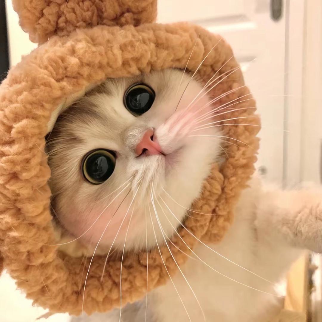 😉元英很MIU