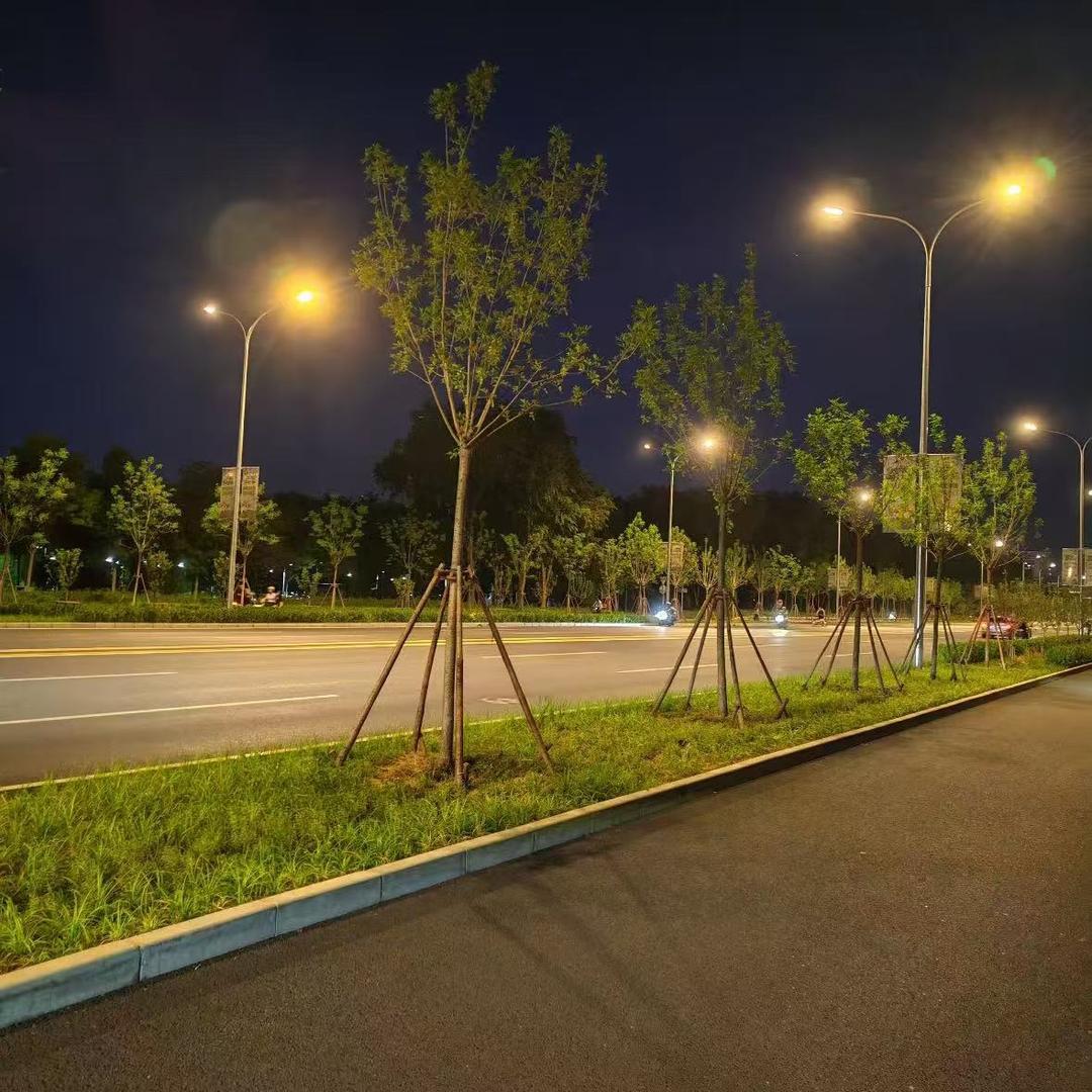 安溪县参内镇黄伟艺保洁服务店的头像