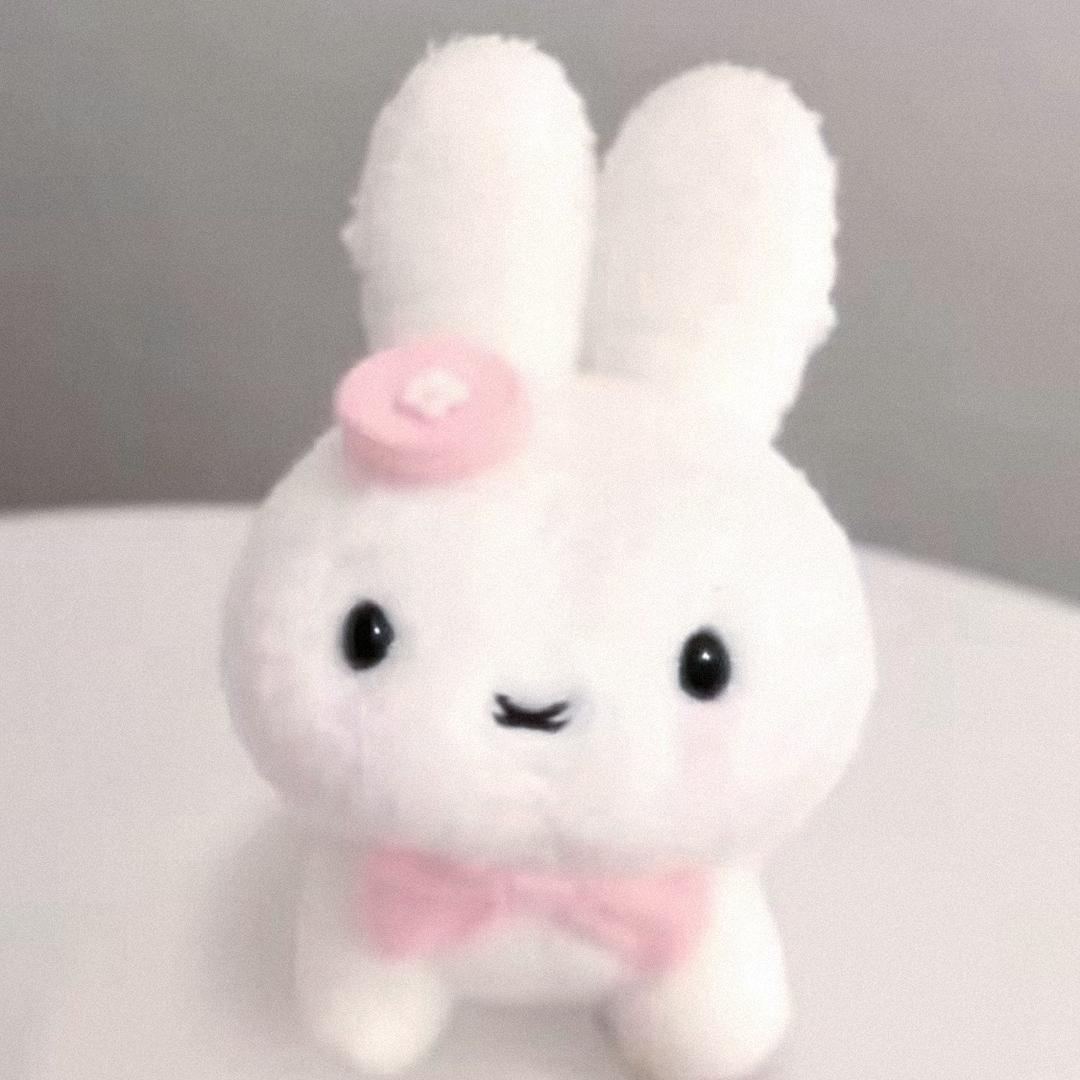 胖虎🐰