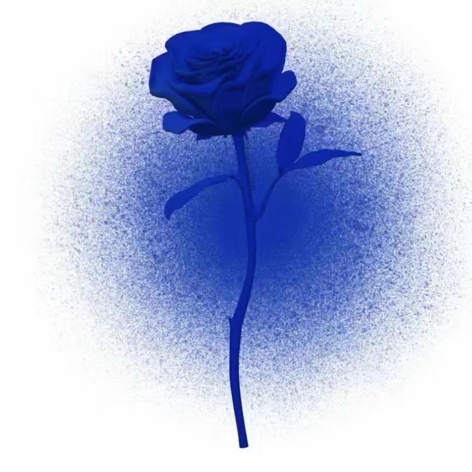 大菲儿妈妈（Z H）