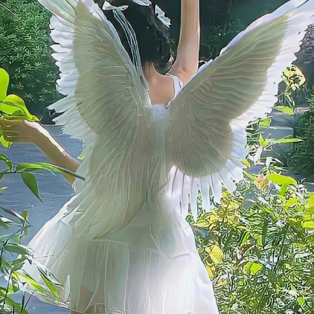 小编