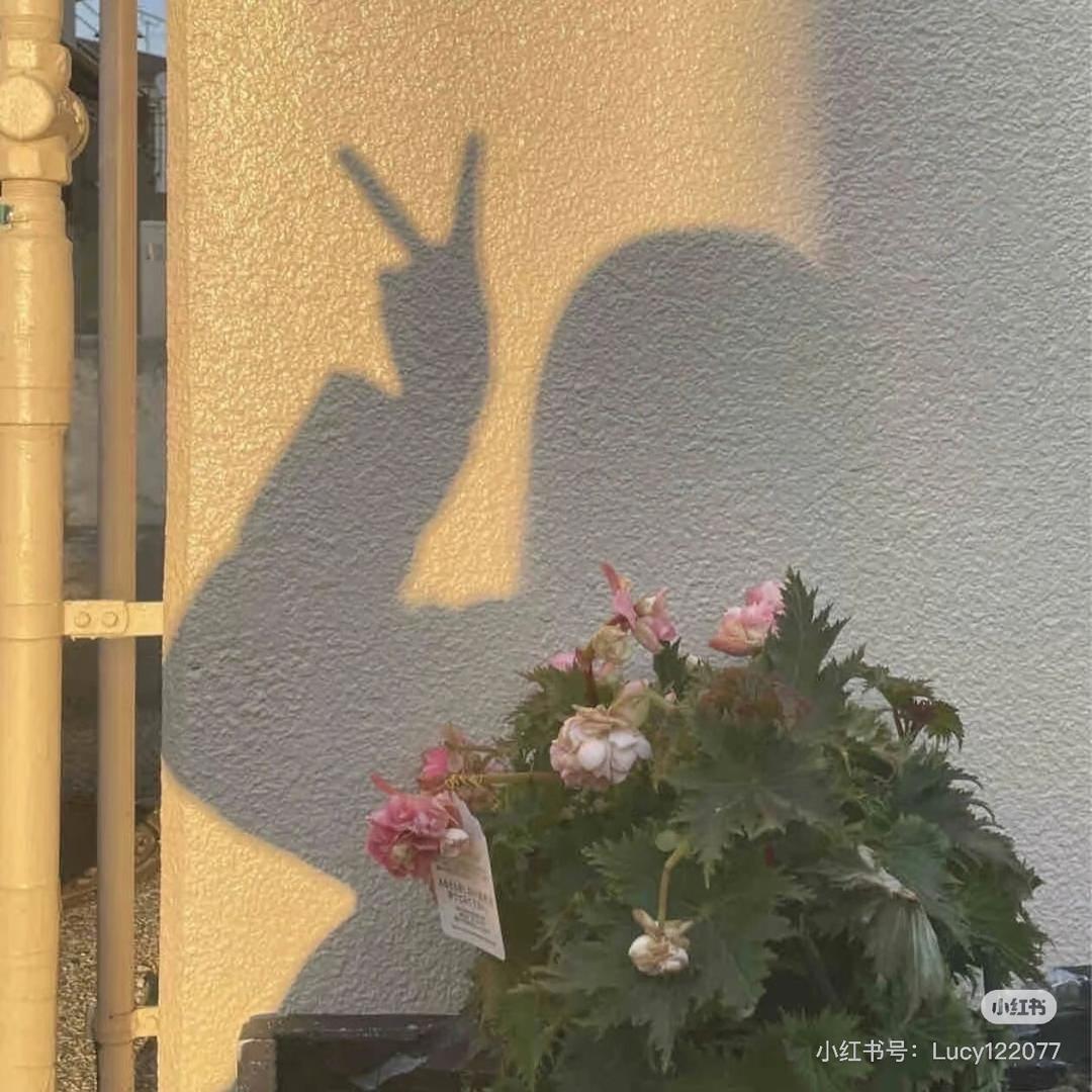 朝朝辞暮 尔尔辞晚