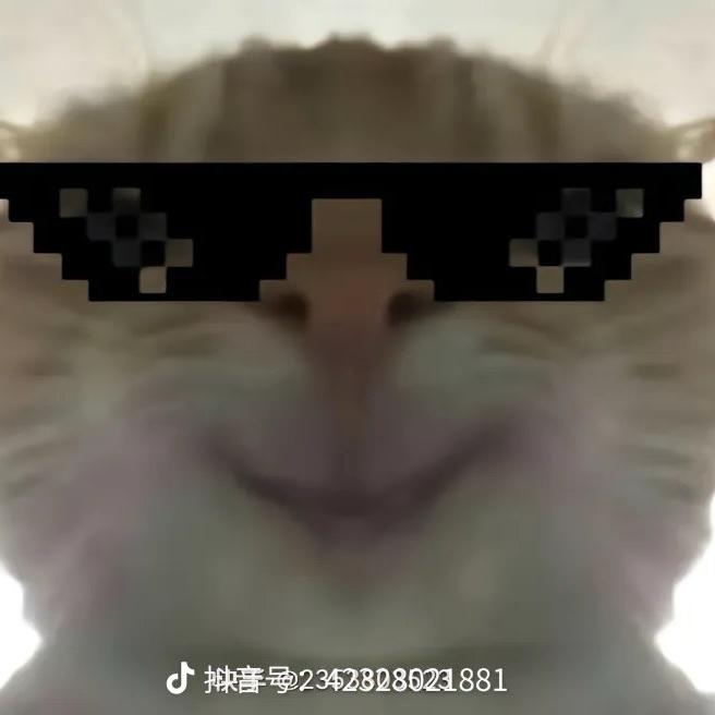 沸雾鼠鼠