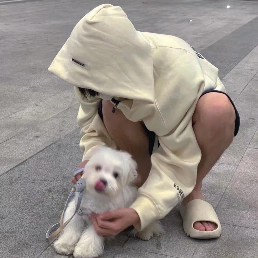 乔安好