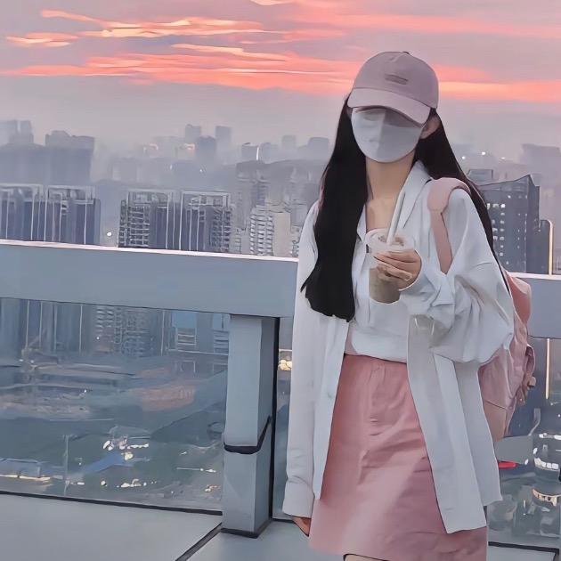 雀蜂西梅果冻