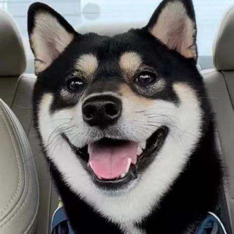 柴犬五花