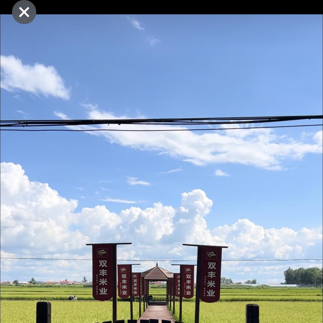 稻皇谷后