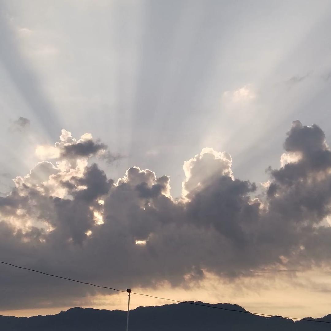 困的勒