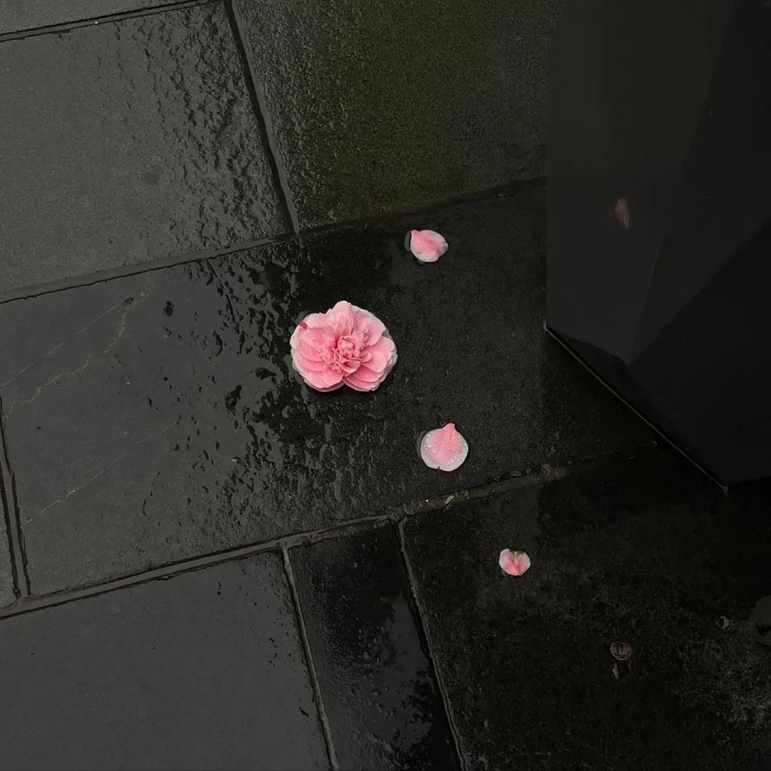 失眠的味儿