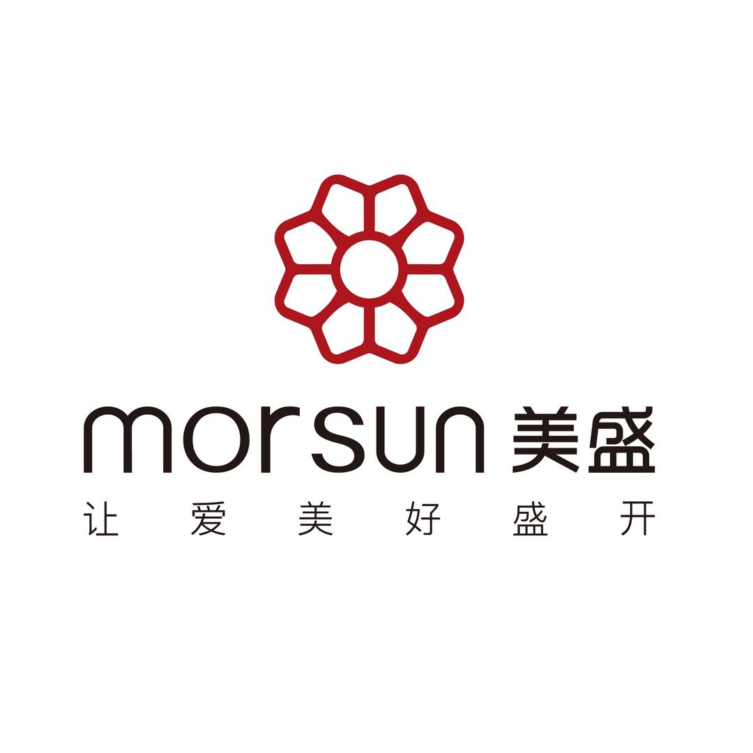 美盛置业