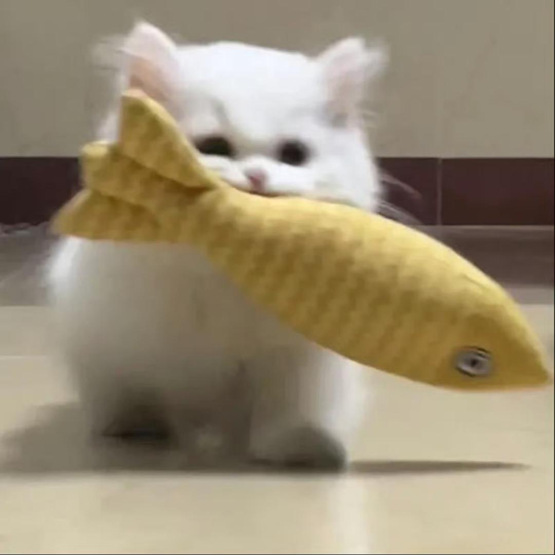 小鱼好闲
