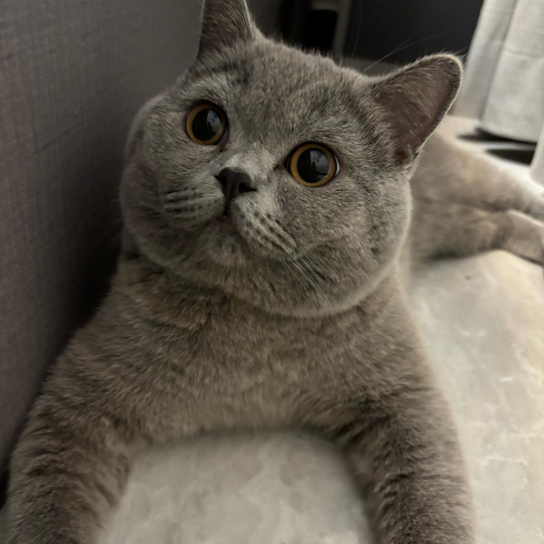 不发脾气只发财💰