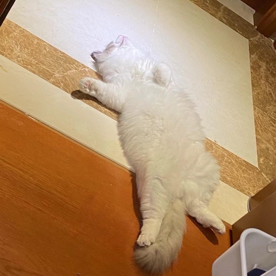 Look at 咪